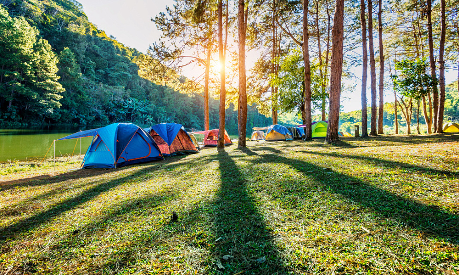 Loch Ness Shore Glamping & Camping Site in Scottish Highlands with Expansion Potential 1