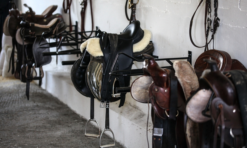 Horse and Pony Rugs, Bibs, Maneguards. Manufacture and Sales. Online Business. 1