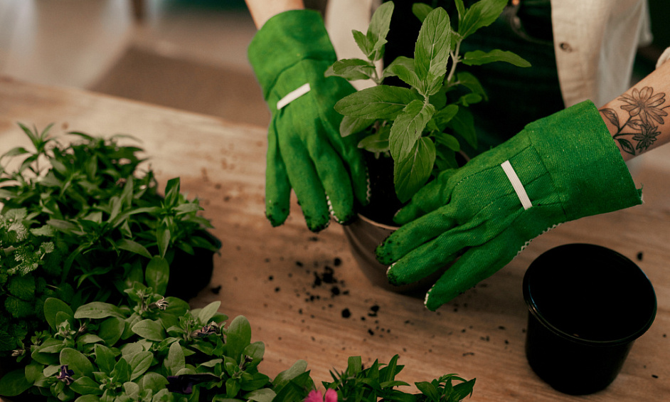 Gardening Business for Sale in Edinburgh with Loyal Customer Base and Equipment Included 1