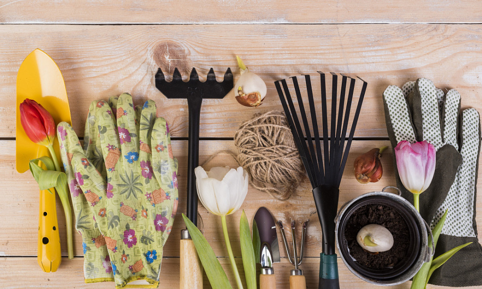 Retail DIY and garden supply business for sale in Wellingborough, Northamptonshire 1 Retail DIY and garden supply business for sale in Wellingborough, Northamptonshire 1