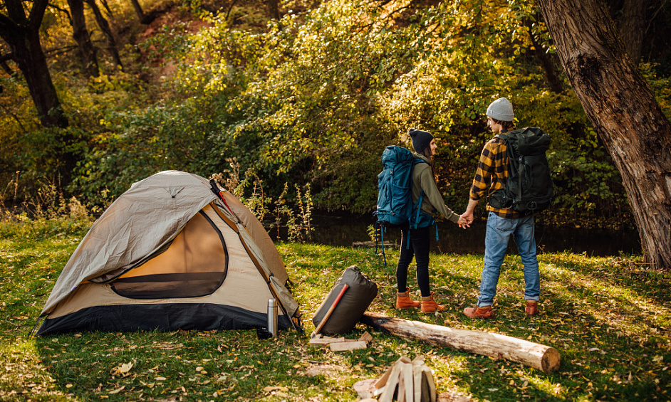 Charming Hotel & Inn with Campsite and Spa Facilities for Sale in Hartland, Devon 1