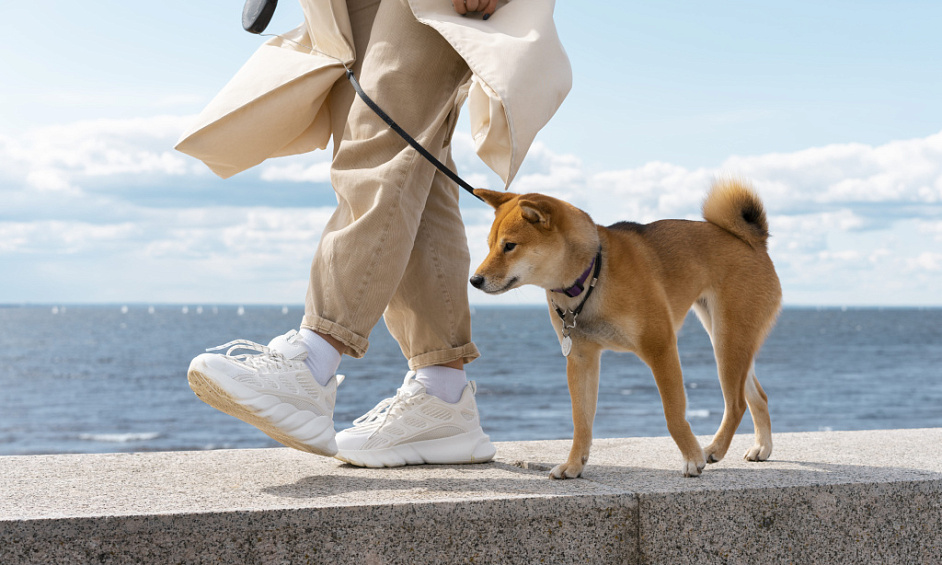 Established Wimbledon Dog Walking Company, Offering Daycare, Boarding & Pet Visits 1 Established Wimbledon Dog Walking Company, Offering Daycare, Boarding & Pet Visits 1