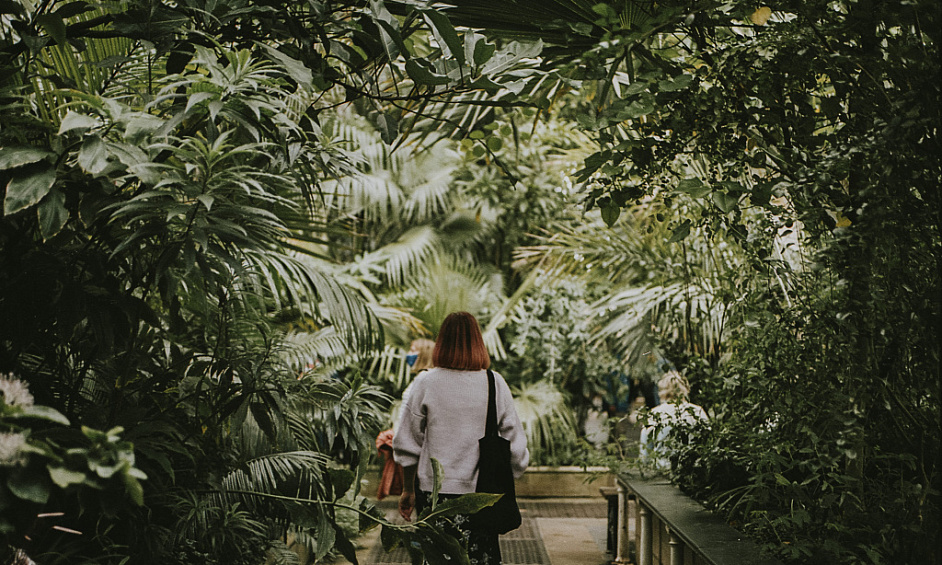 Top-Rated Garden Centre with Jungle Cafe in Honeybourne Worcestershire for Sale 1