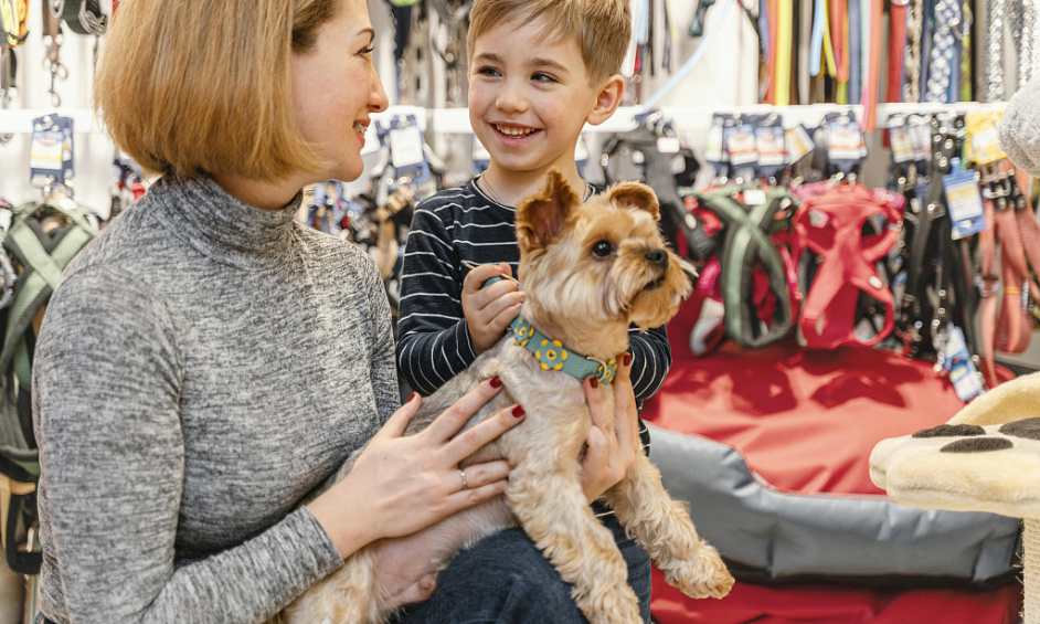 Community Pet Supplies Shop Rinno's Pet Zone for Sale in Dunfermline Fife 1