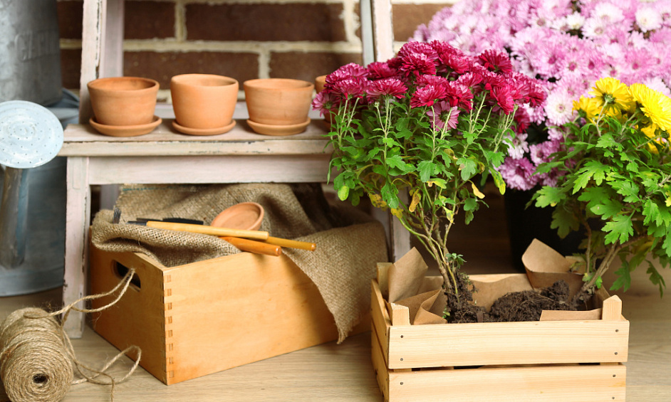 Florist and Homeware Shop for Sale in Ditchling East Sussex 1
