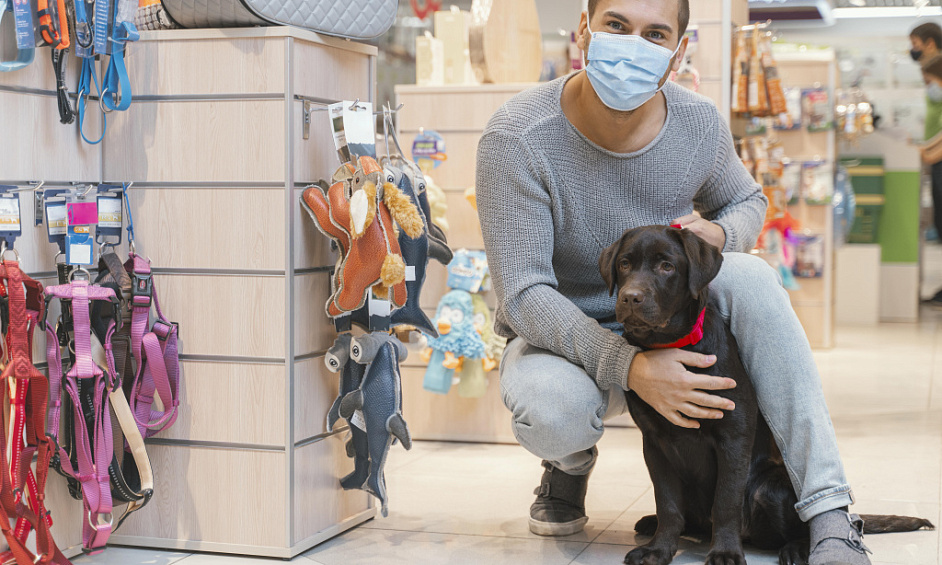 Prime Location Dog Shop with Grooming Salon and Online Store in East London For Sale 1