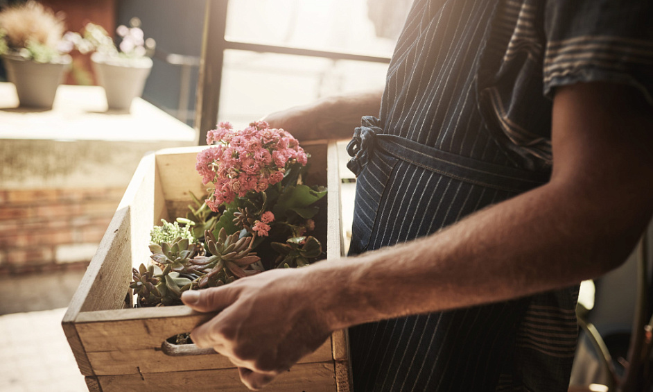 Leasehold Florist Business for Sale in Westhoughton Manchester 1 Leasehold Florist Business for Sale in Westhoughton Manchester 1
