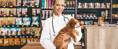 Pet Shops for sale in Welwyn Garden City 232681