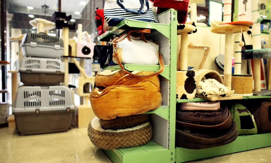 Pet Supplies and Accessories Shop for Sale in Bishopston Bristol 1