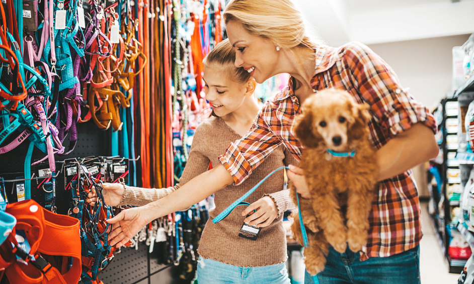 Pet supplies business for sale in Sheffield South Yorkshire with potential for online sales expansion 1