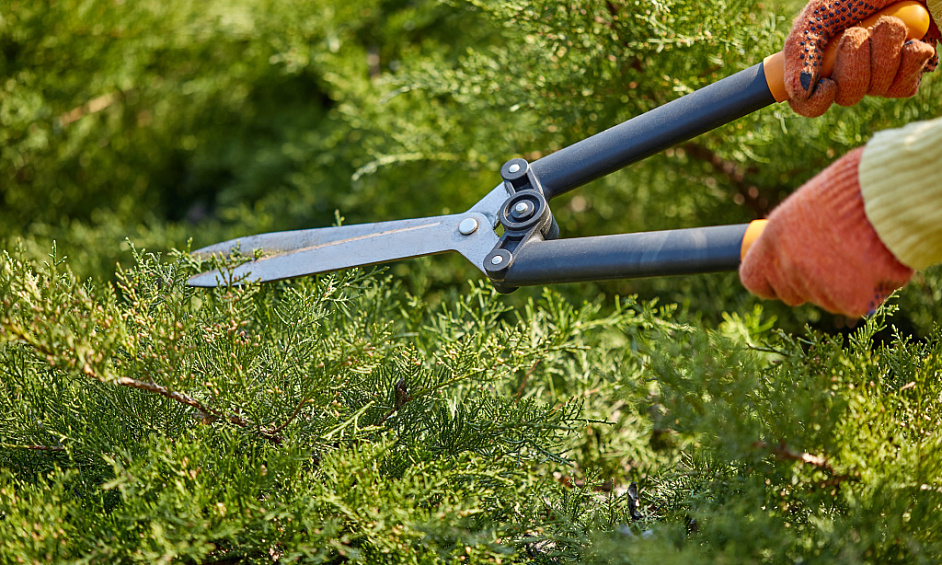 Established Grounds Maintenance Contract Portfolio for Sale 1