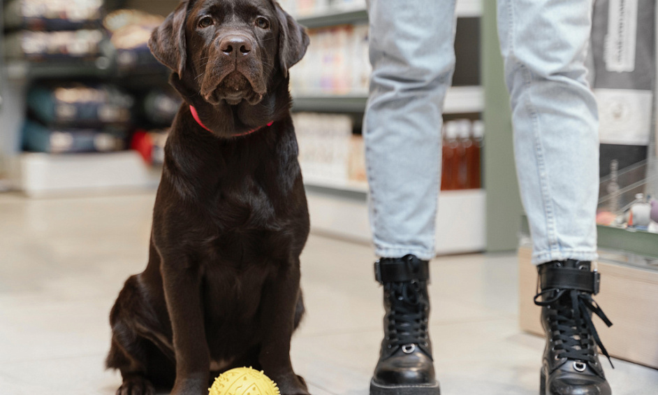 Fishing and Pet Supplies Shop in Grimsby Lincolnshire Available for Sale 1